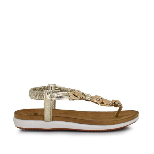 D-F8043-20 - GOLD